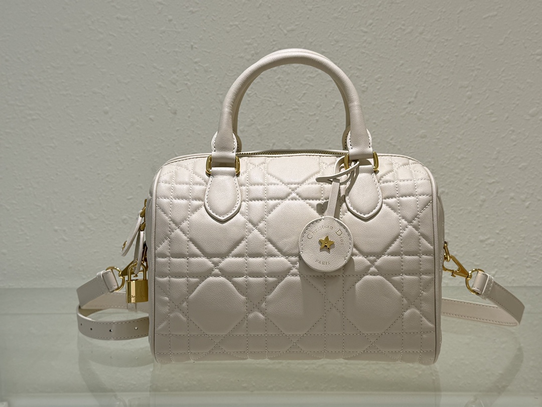 Dior Groove 25 Bag White Macrocannage Calfskin